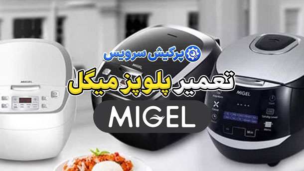 تعمیر پلوپز میگل | نمایندگی تخصصی تعمیرات پلوپز میگل Migel