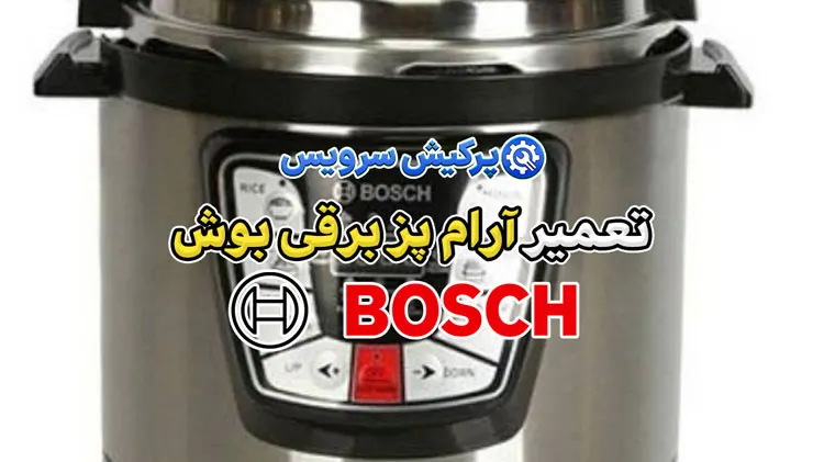تعمیر آرام پز برقی بوش | نمایندگی تخصصی تعمیرات آرام پز برقی بوش bosch