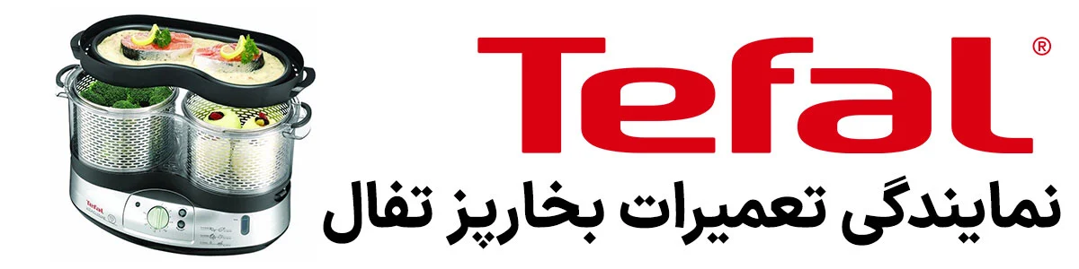 نمایندگی-تعمیرات-بخارپز-تفال